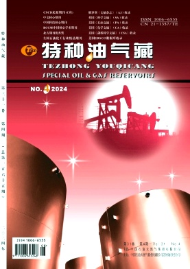 特种油气藏封面